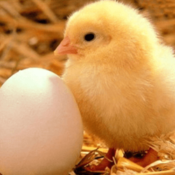 掼蛋网游戏大厅 v3.0 官方最新版