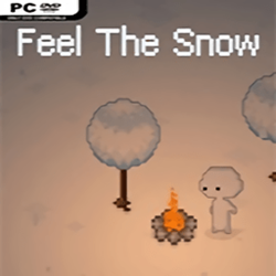 Feel The Snow感受冬季游戏 简体免安装版