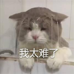 我太难了表情包图片 高清版