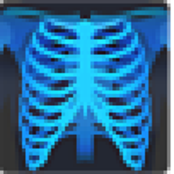 MicroDicom viewer(Dicom格式看图软件) v2.9.2 绿色版