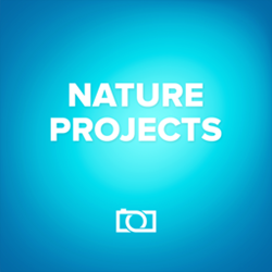 nature projects(天气效果滤镜) v1.18.02839 绿色版