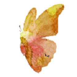 Cartoonize Painter(照片转手绘画) v1.4.1 免费破解版