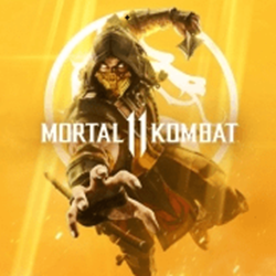 真人快打11超宽屏60帧解锁补丁 v2.0.2 免费版