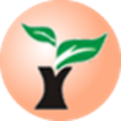 雨林风盘 v10.3 官方正式版