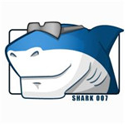 ADVANCED x64Components音视频解码包 v13.0.3 官方正式版