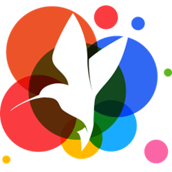 小鸟视频壁纸 v3.1120.1355 安装版