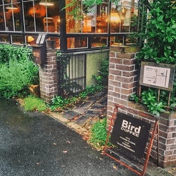 2020带来好运的微信头像风景 高清无水印