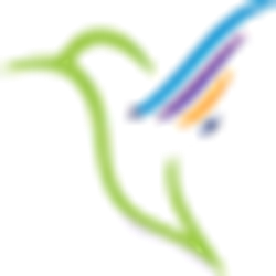 雷鸟下载经常用的软件 v2.0.2 官方正式版