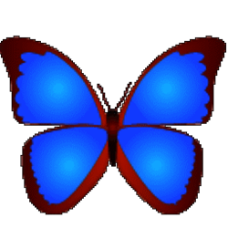 bkviewer pro小巧精悍的数码照片浏览器 v6.0g 中文专业版