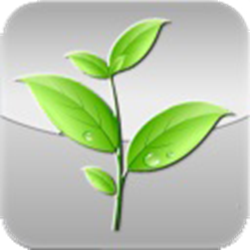 点易拍驱动(Bauche Scan) v4.20 通用版