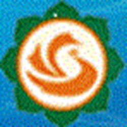 赛丽麦进销存经常用的软件 v0.99 安装版