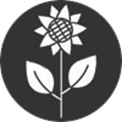 Medlexo Eclipse TS格式转换器 v9.1 绿色版