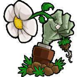 植物大战僵尸tf版本(听风版) v1.5 简体中文硬盘版