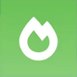 我的世界sodium模组 v1.17.1 最新版