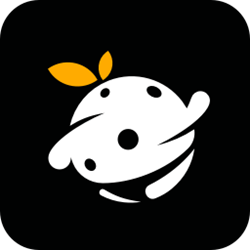 浆果游戏客户端 v1.0.0.240 官方正式版