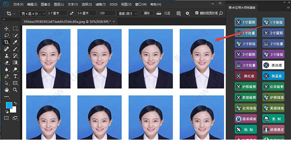 雅点证照大师完美汉化版
