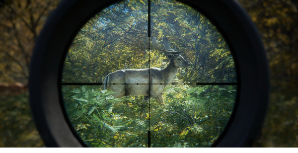 荒野猎人游戏下载