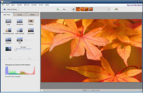 Google Picasa简体中文版