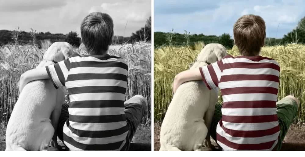 Adobe Photoshop CC 2020