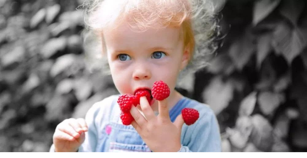 Adobe Photoshop CC 2020