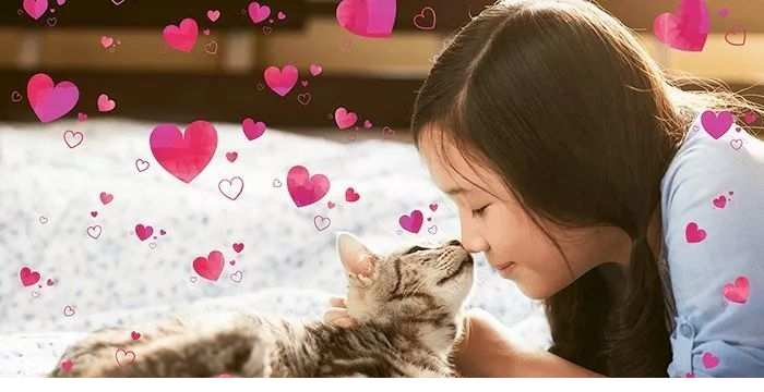 Adobe Photoshop CC 2020