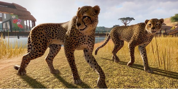 动物园之星修改器