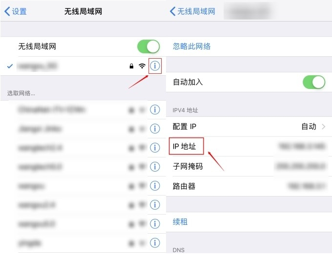 iPhone网络ip地址
