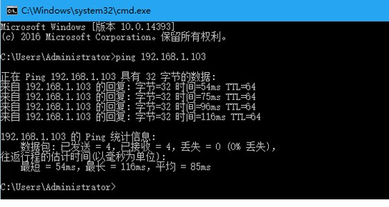输入IP地址检测