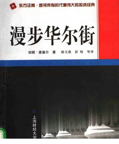 漫步华尔街pdf