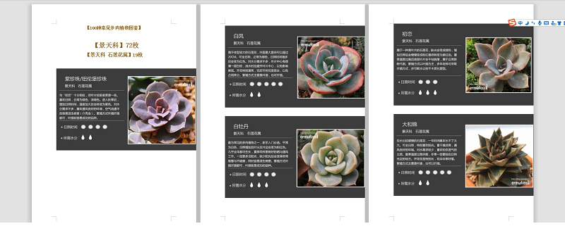 100种常见多肉植物图鉴大全