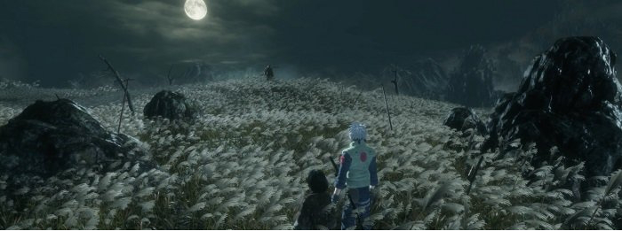 只狼影逝二度旗木卡卡西MOD