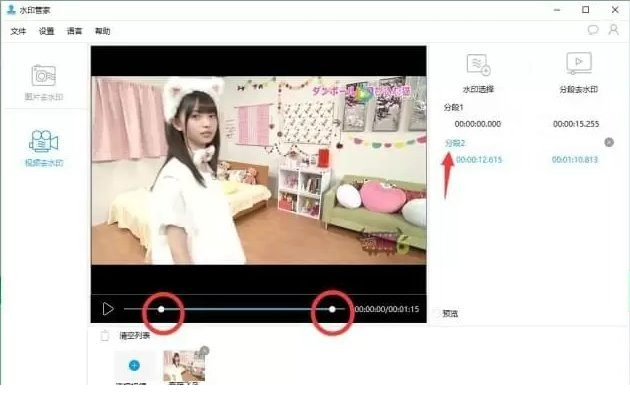 水印管家破解版下载