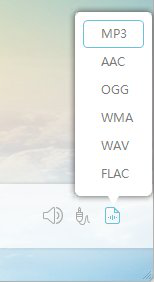 apowersoft streaming audio recorder免费版
