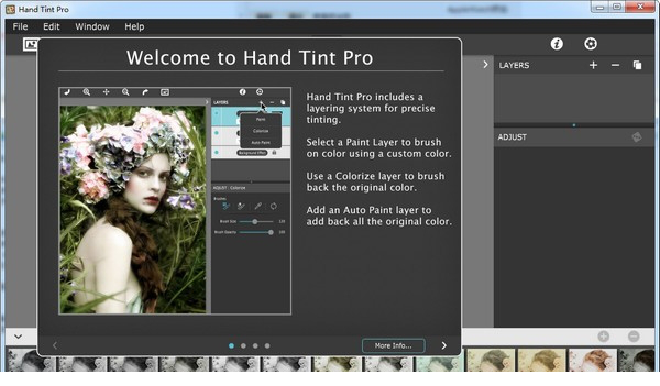 Hand Tint Pro