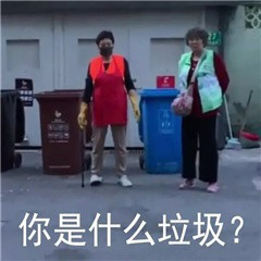 你是什么垃圾表情包