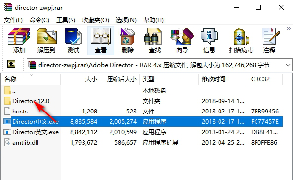 adobe director中文版