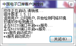 中国电子口岸浏览器版客户端控件