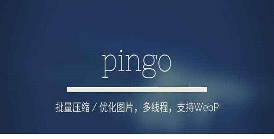 pingo下载