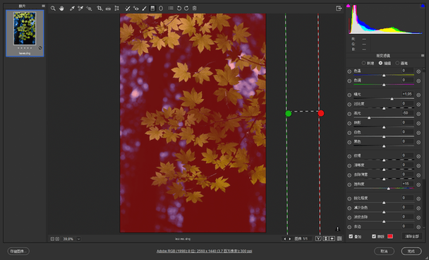 Adobe Camera Raw安装
