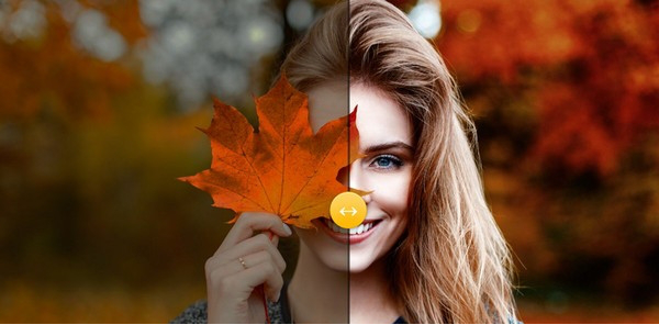 Moody Photoshop Panel免费下载