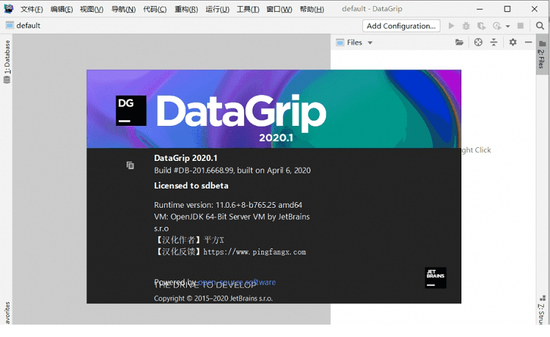 DataGrip 2020激活汉化版