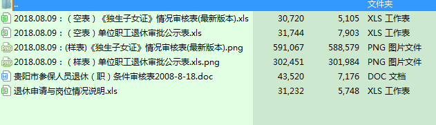 退休审批表模板