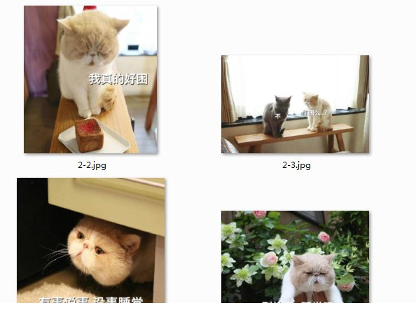 想睡觉好困表情包