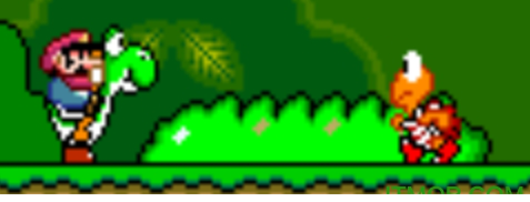 IntegerScaler免费版