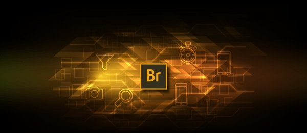 Adobe Bridge 2021最新版