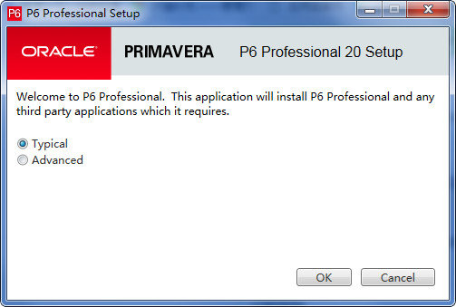 p6项目管理经常用的软件