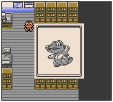 口袋妖怪金版图文流程攻略1