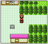 口袋妖怪金版图文流程攻略1