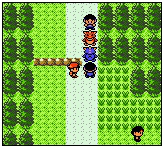 口袋妖怪金版图文流程攻略1