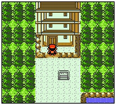 口袋妖怪金版图文流程攻略1